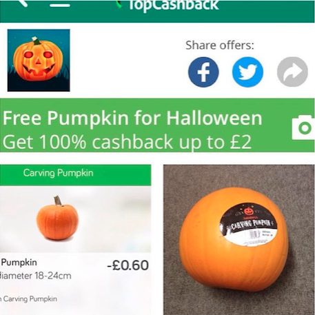 free pumpkin topcashback cashback app