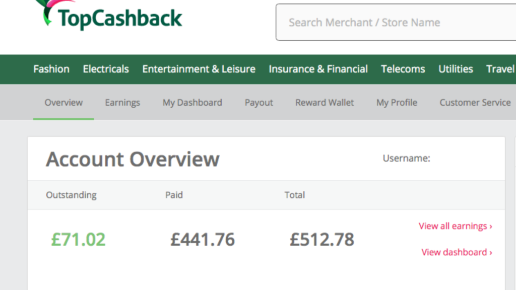 TopCashback earnings