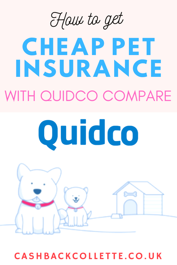 How To Get Cheap Pet Insurance With Quidco Compare (& £20 Cashback