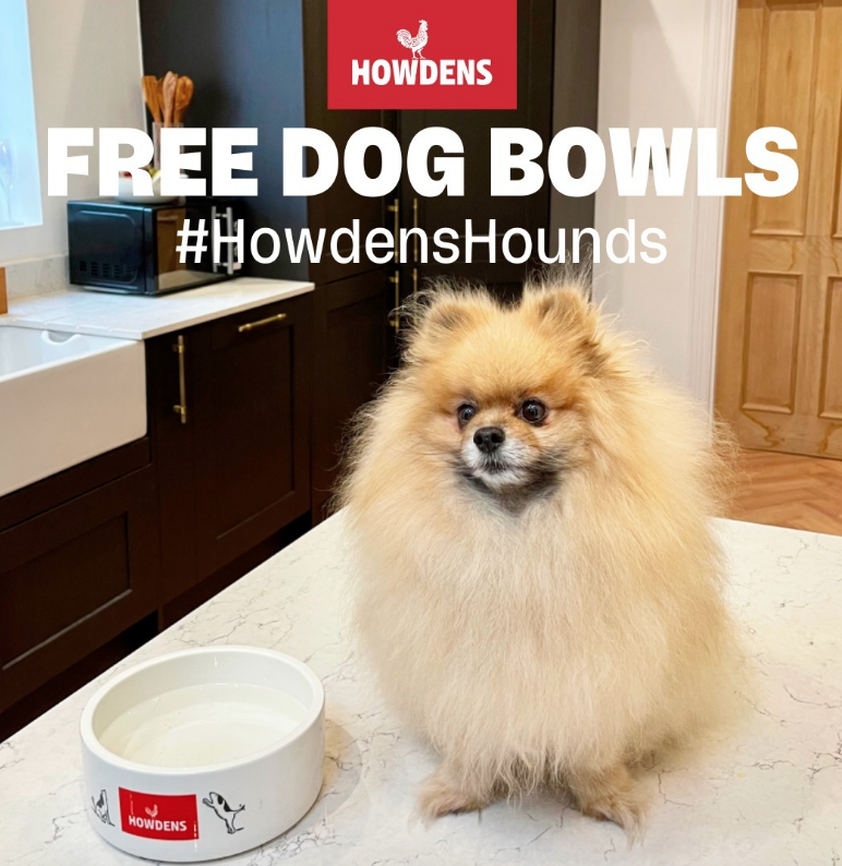 Free Howdens dog bowl