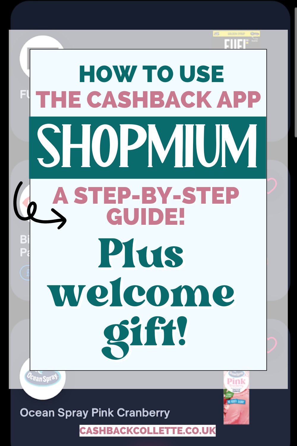 Shopmium app pin