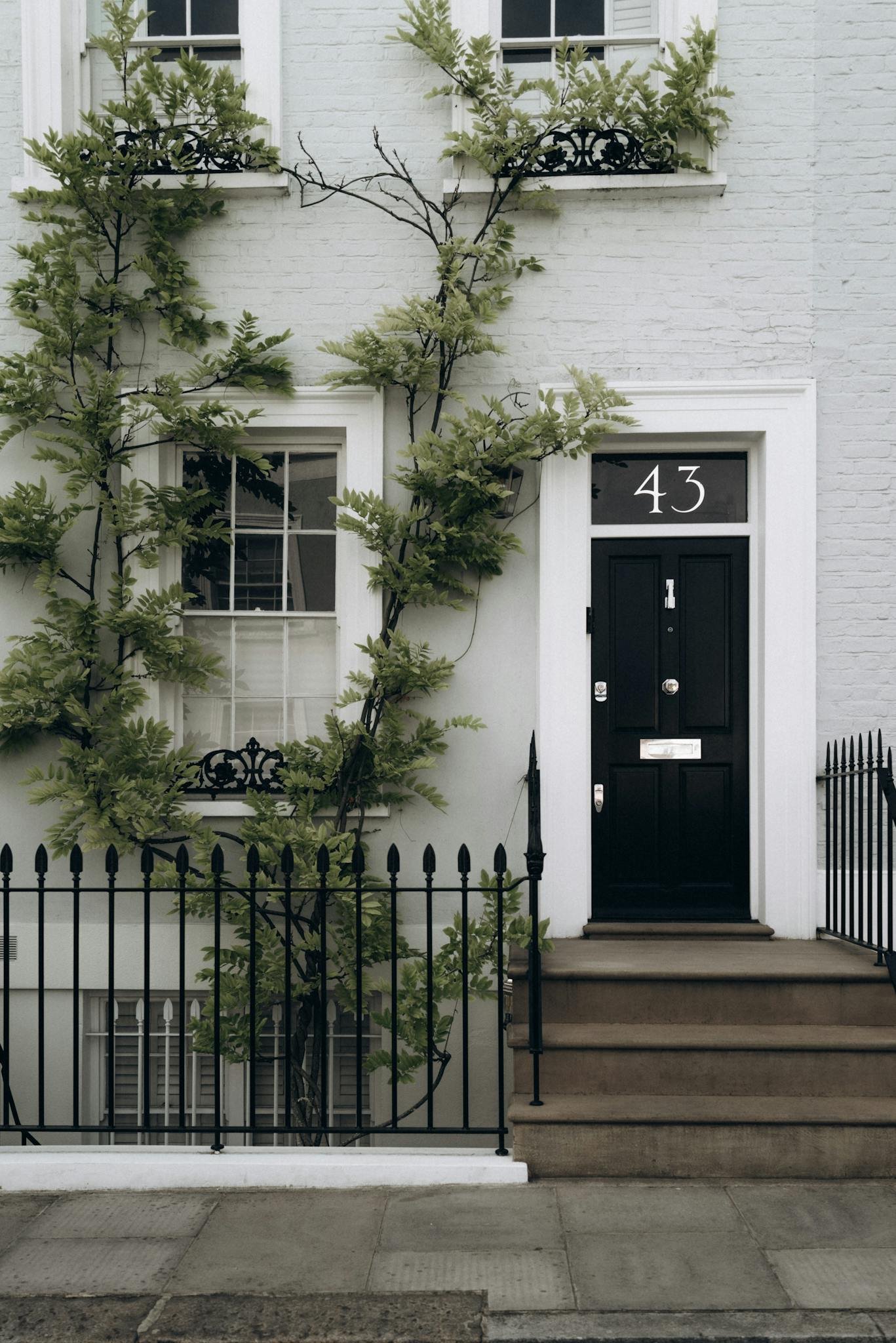 Notting Hill townhouse with green vines on white brick and black door, London.